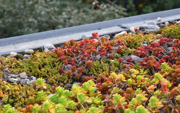 the cost of Swalecliffe green roof installation