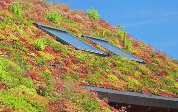 Swalecliffe living roof systems