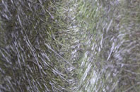 Swalecliffe fibreglass roof work